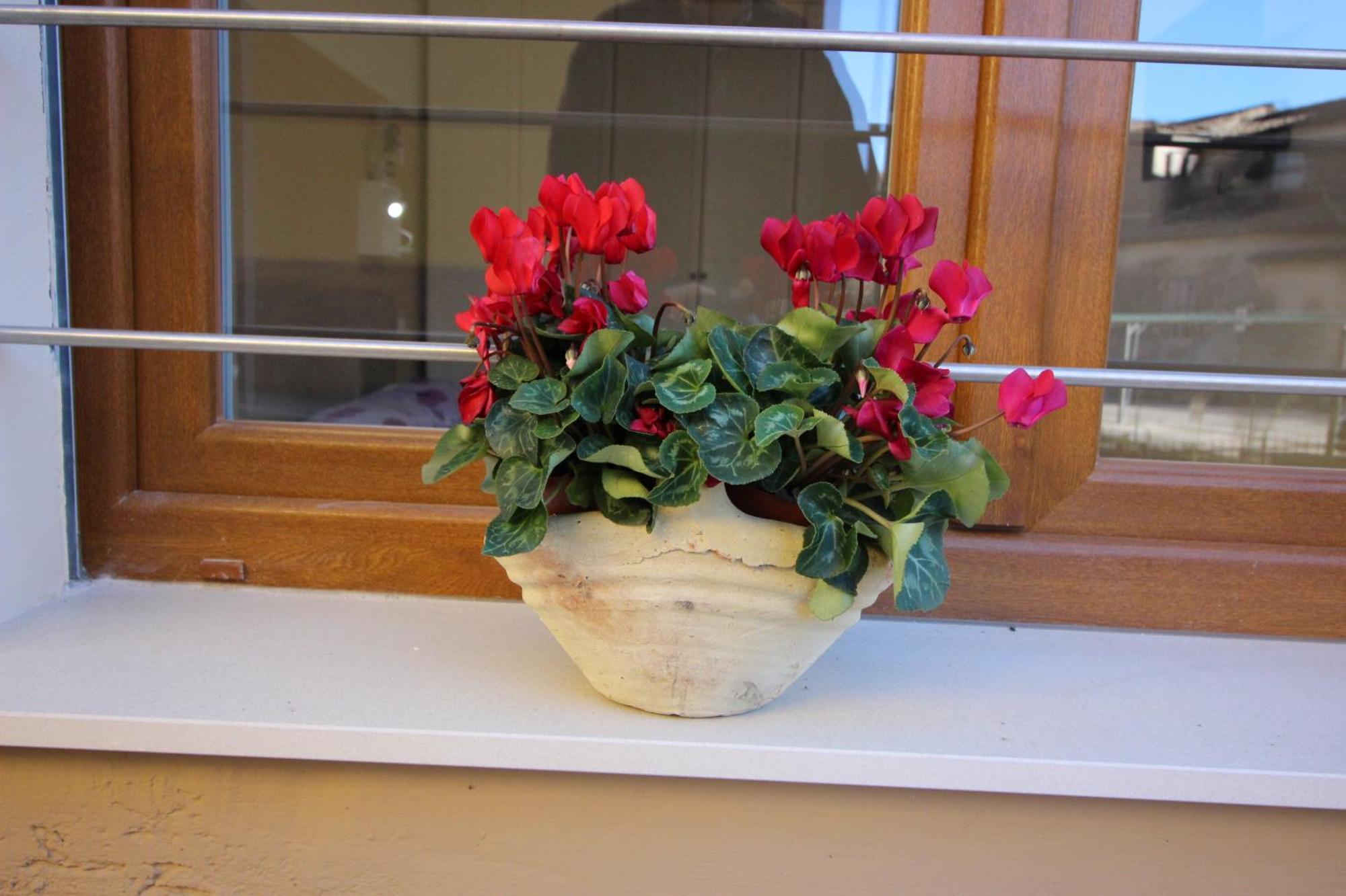 Apartament Casa Bella Vista Mit Balkon San Zeno di Montagna Zewnętrze zdjęcie